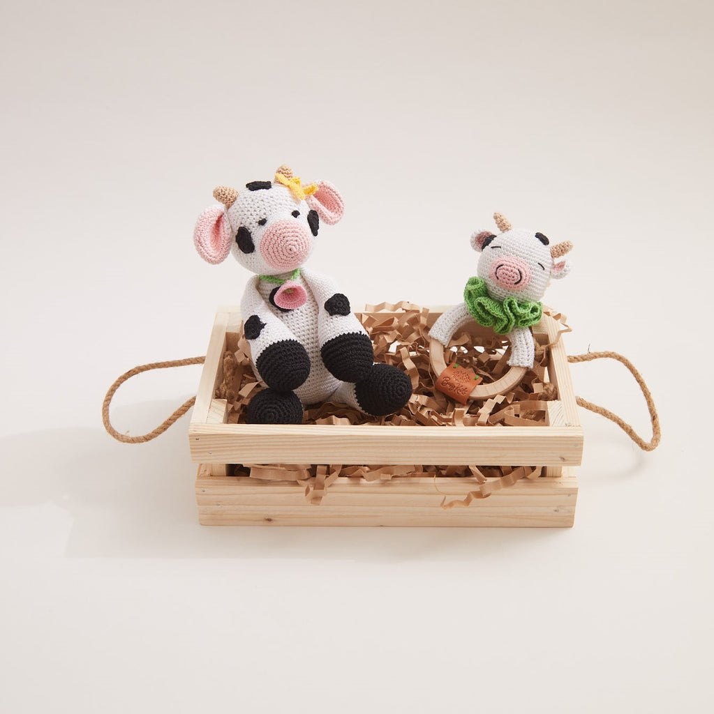 Toy and Rattle Gift (Set of 2)